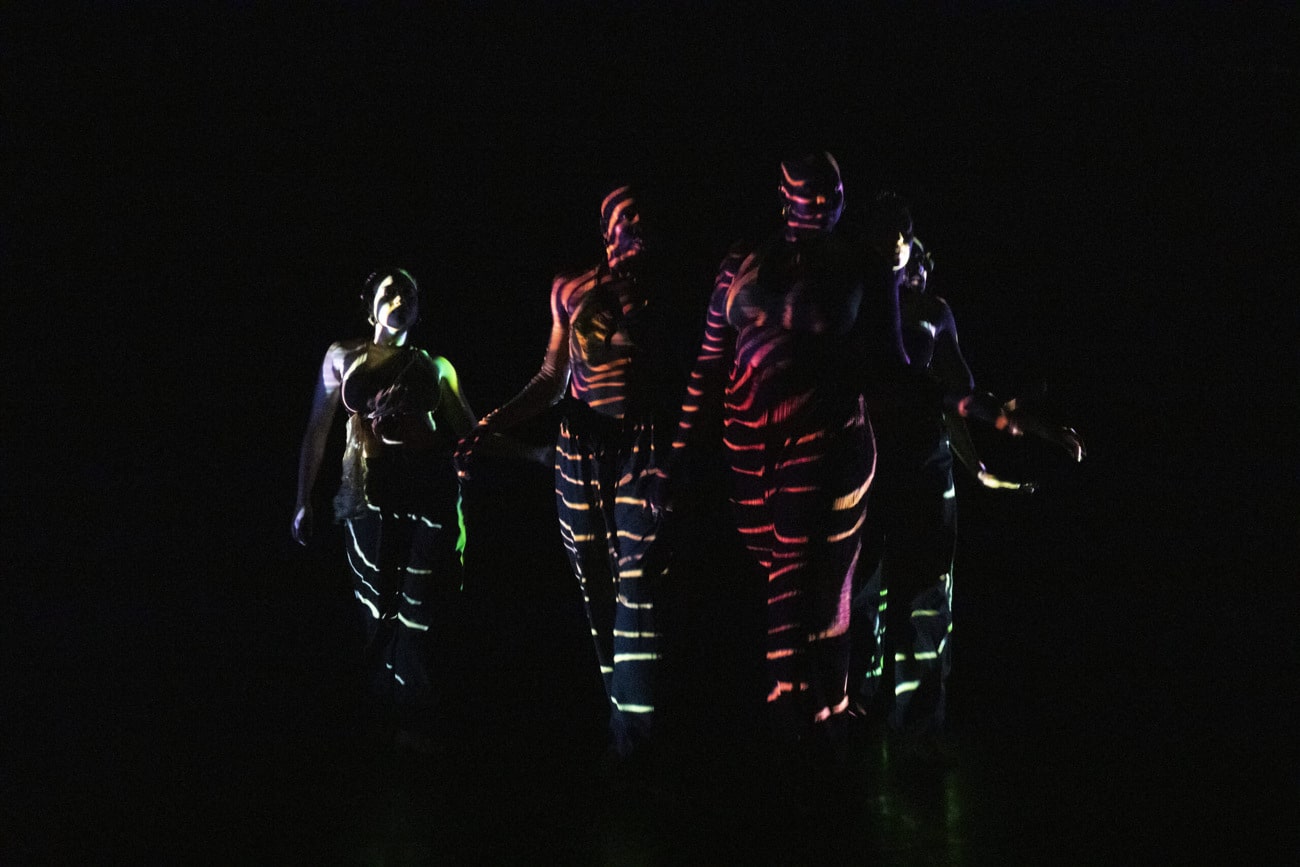 Projections: Dani Olivier